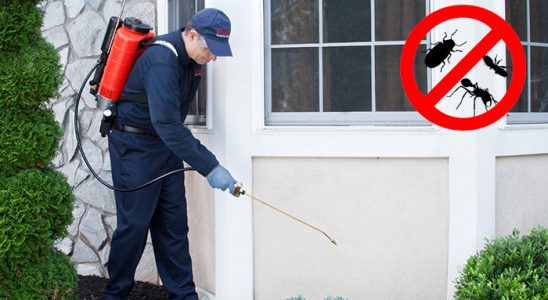 Sarıçam Kene İlaçlama böcek ilaçlama ve haşere kontrolü — ilaclama-tr.com